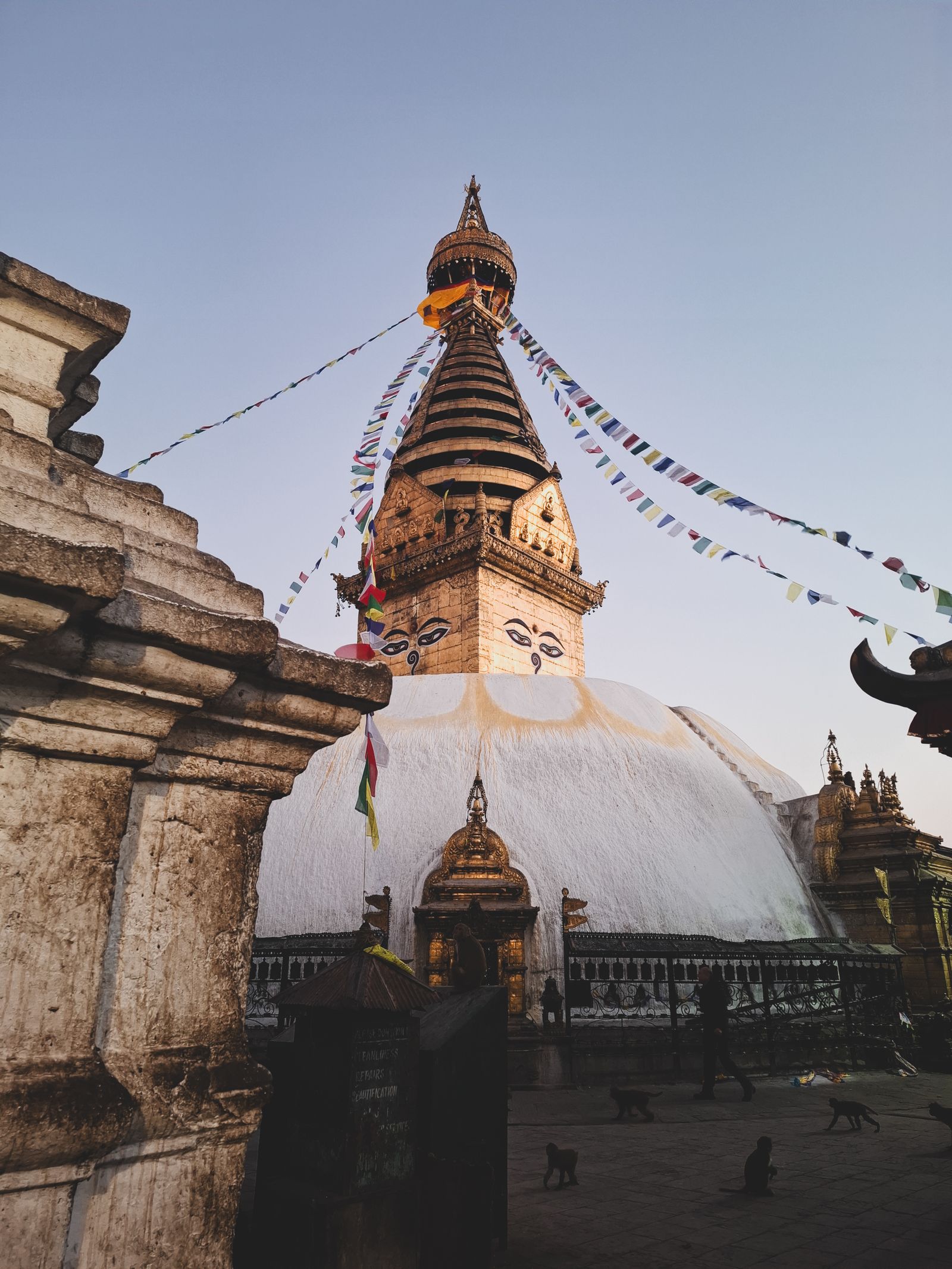 Swayambhunath stupa in first light, prayer flags running from its gilded spire and monkeys crossing the stone platform