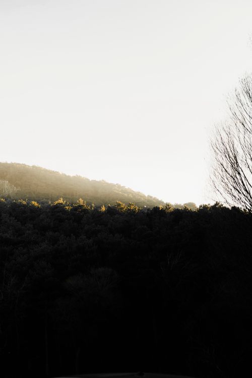 Free Beautiful mountain landscape at sunset with silhouetted trees in the foreground. Stock Photo