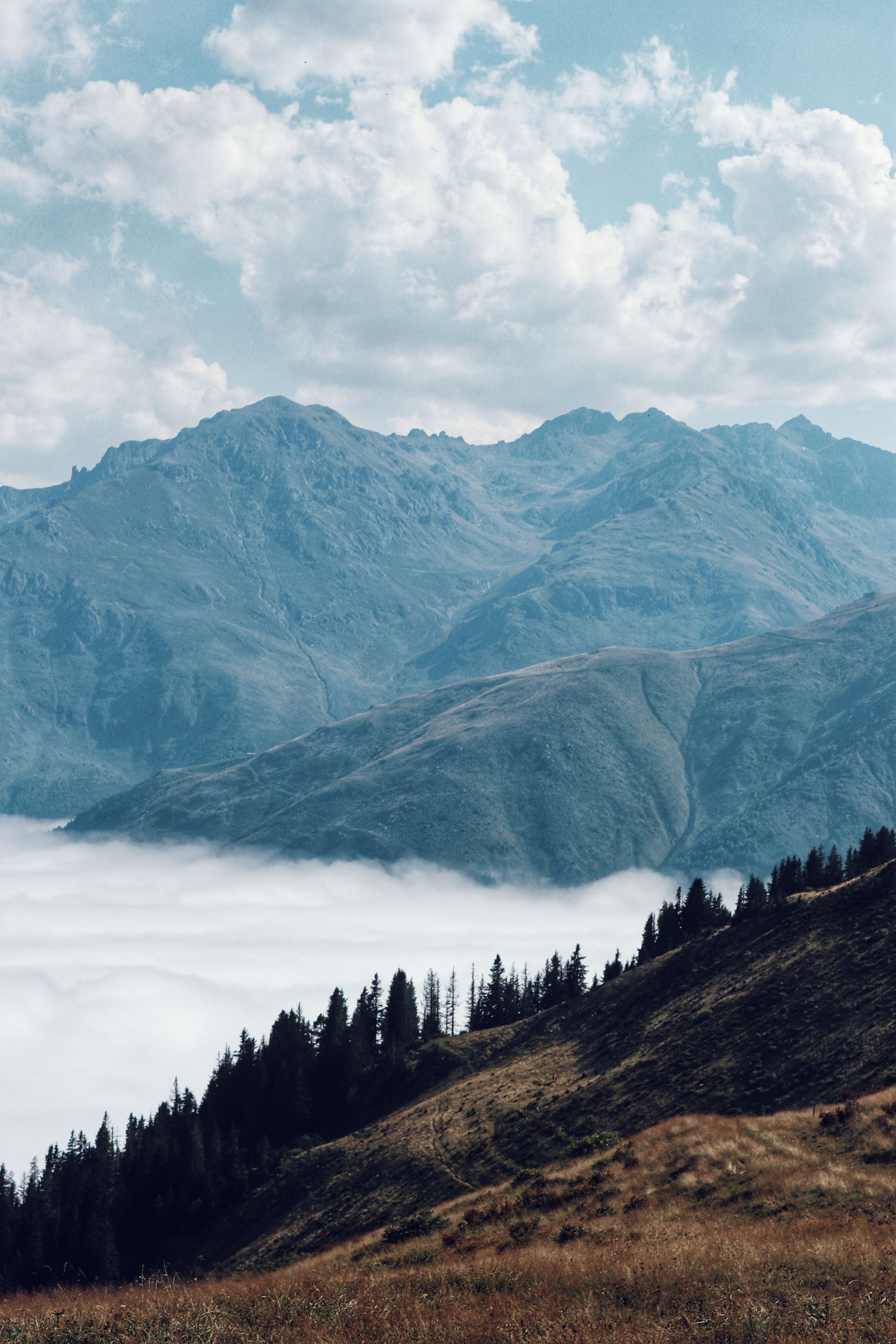 Above the Clouds