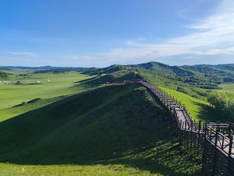 Beautiful grassland hills with a wooden pathway under a clear blue sky.