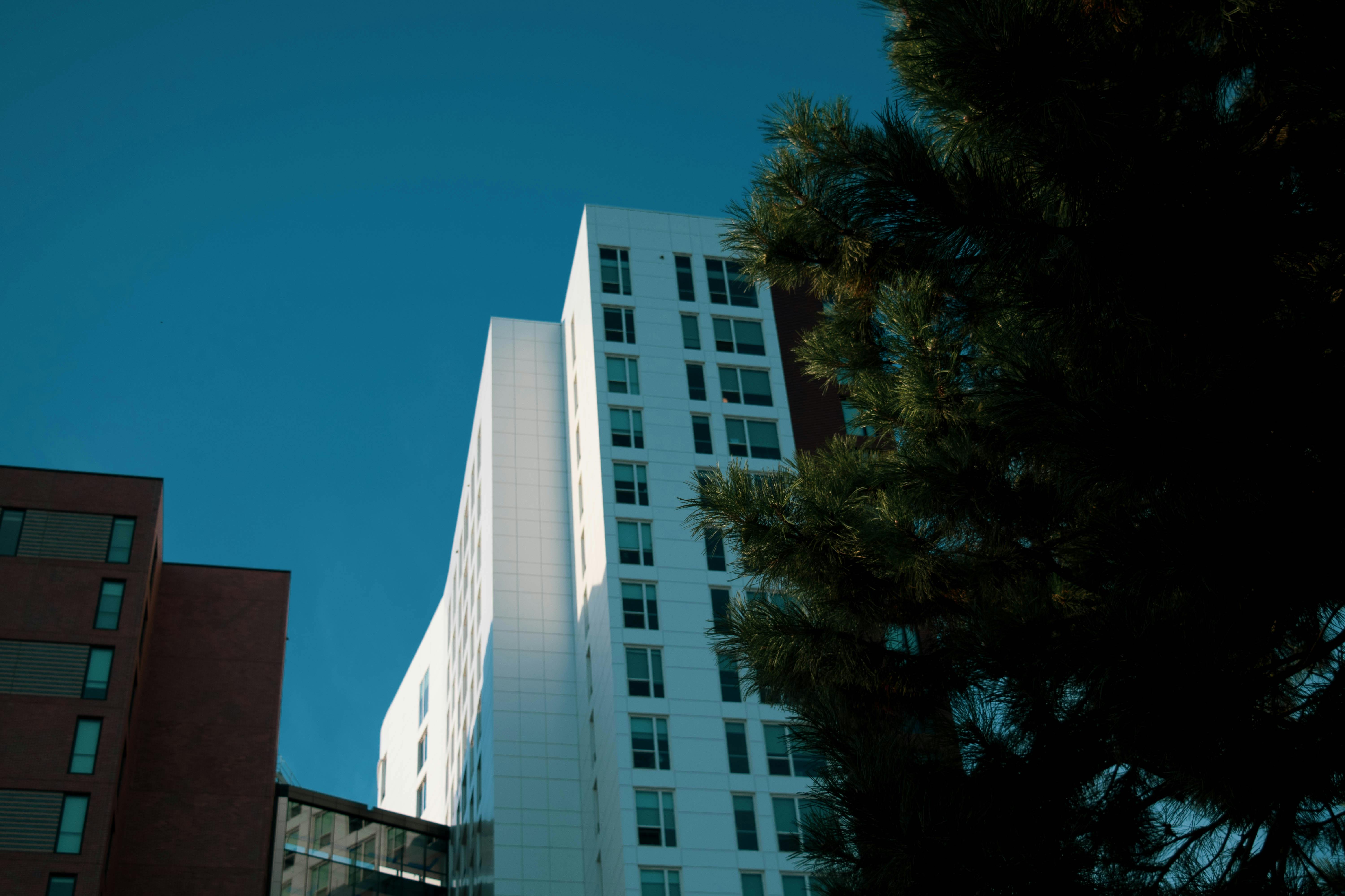 在充满活力的蓝天下，郁郁葱葱的绿色植物与现代摩天大楼形成了鲜明对比