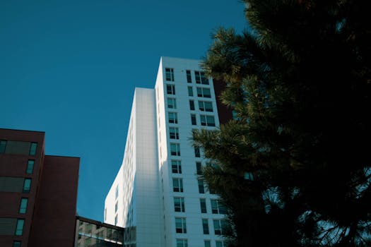 在充满活力的蓝天下，郁郁葱葱的绿色植物与现代摩天大楼形成了鲜明对比