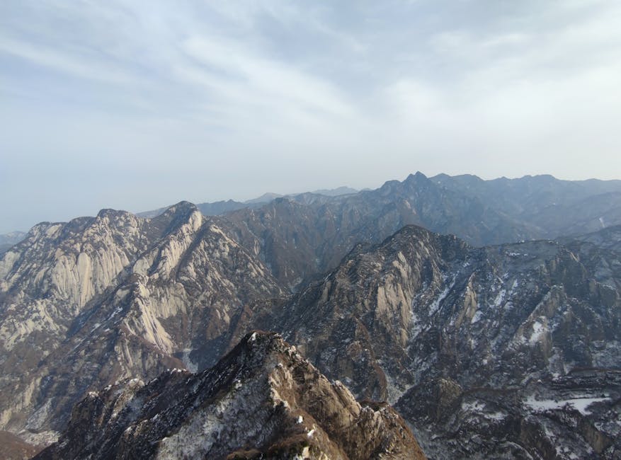 ## Discounted Sightseeing