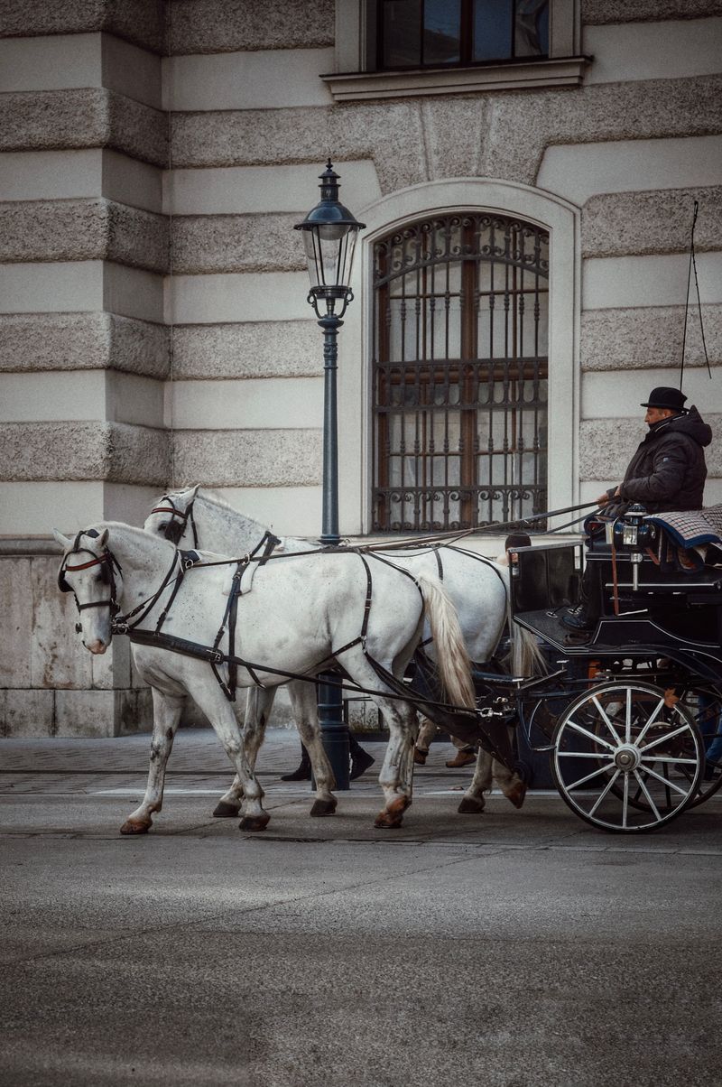 A man rides a horse drawn carriage through a city · Free Stock Photo