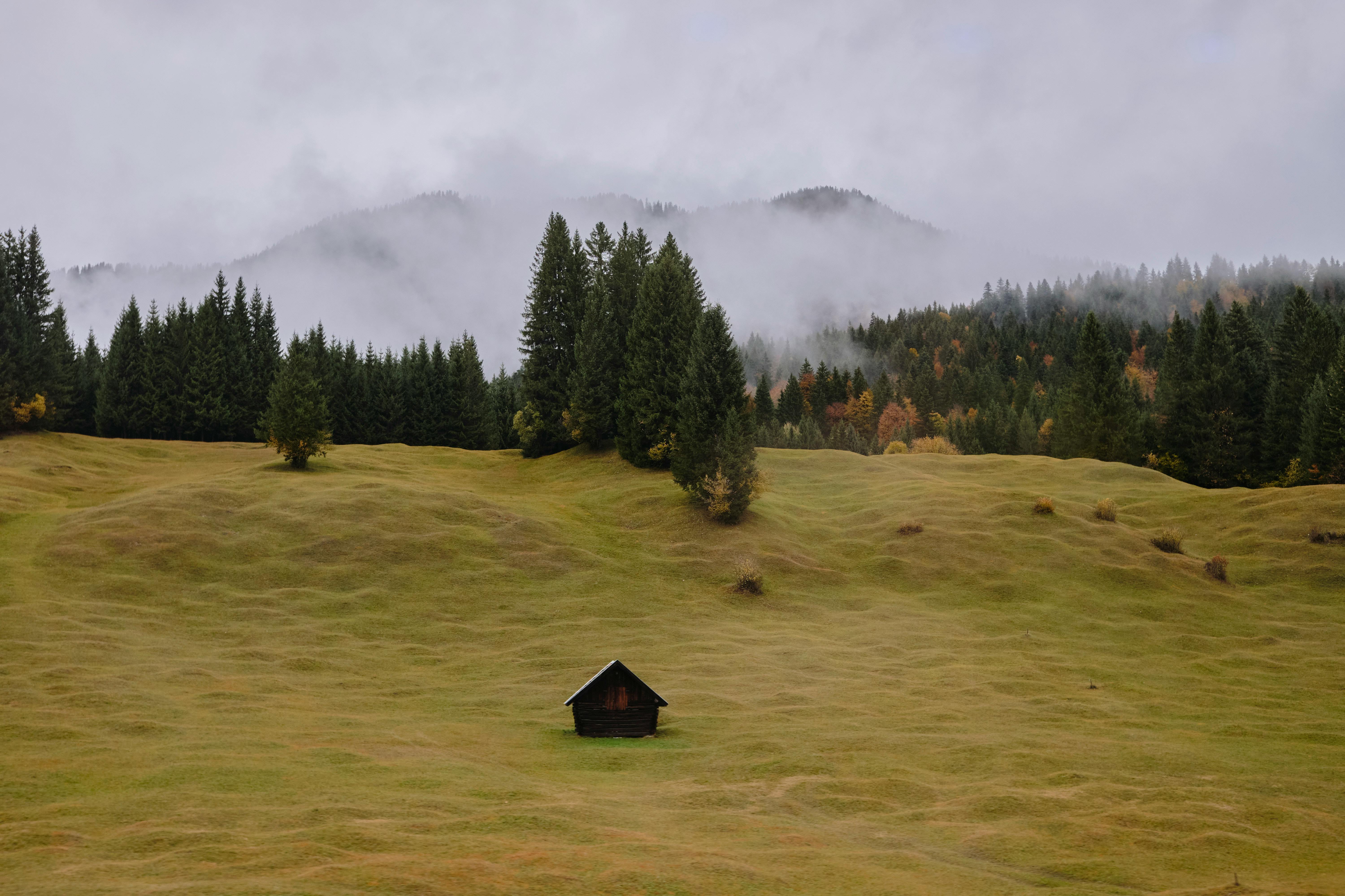 A lonely cabin on a misty hillside surrounded by pine forest and mountains.