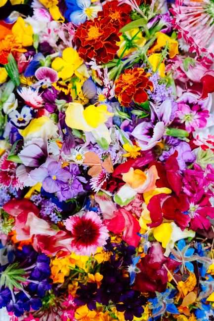 Vibrant and colorful assortment of blooming flowers, perfect for spring and nature themes.