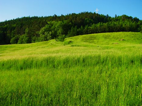 Lush green meadow and forested hillside under a clear blue sky with a white cross.