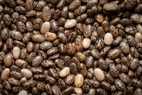 Free A detailed close-up of black and white mottled beans showing texture and pattern. Stock Photo