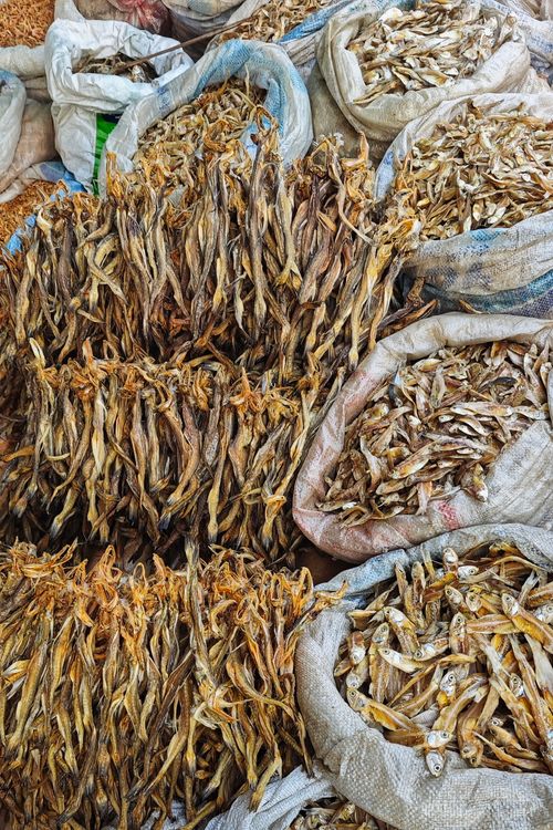 Freshly dried fish display at Digha market · Free Stock Photo