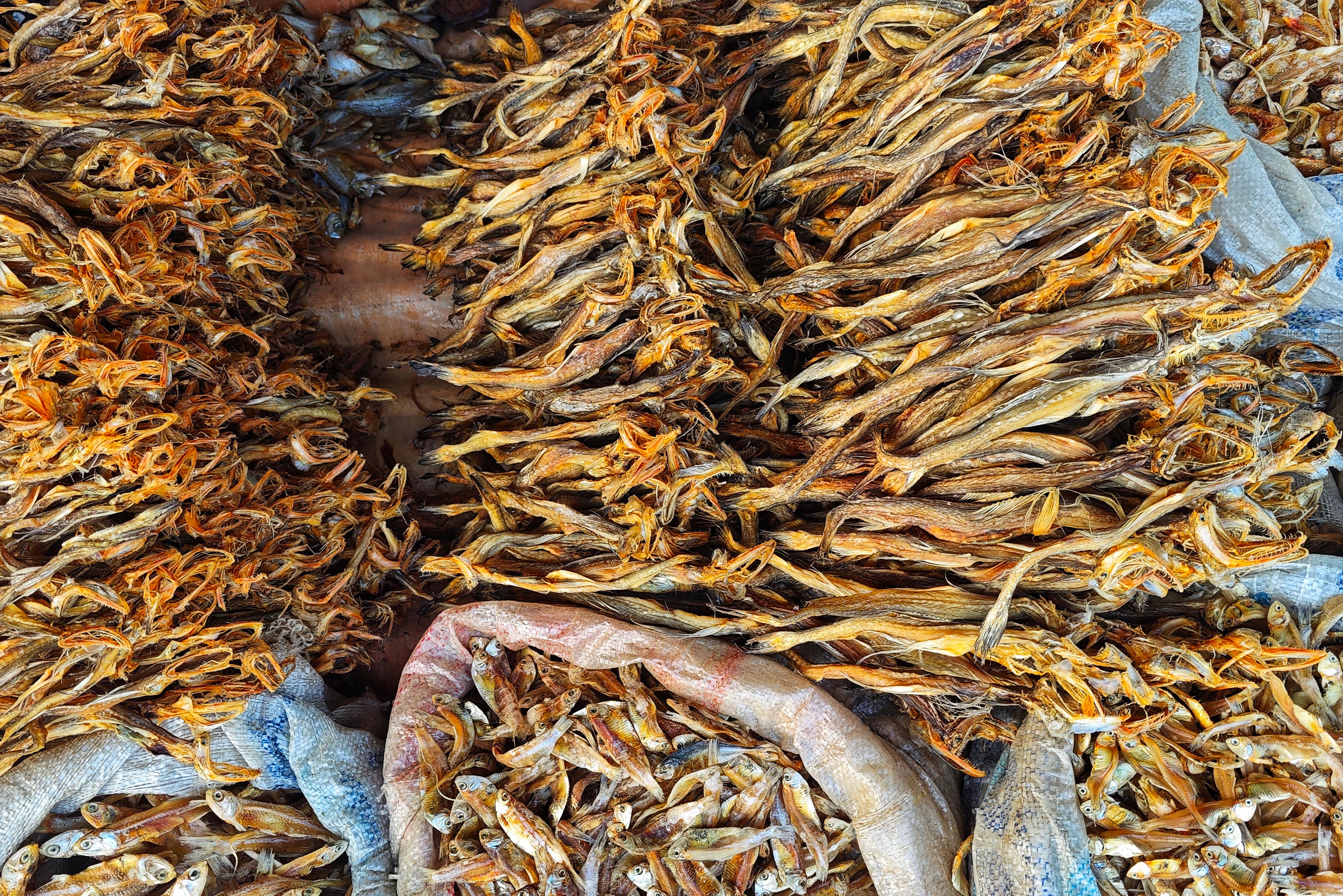 Premium Dry Fish Raw Materials