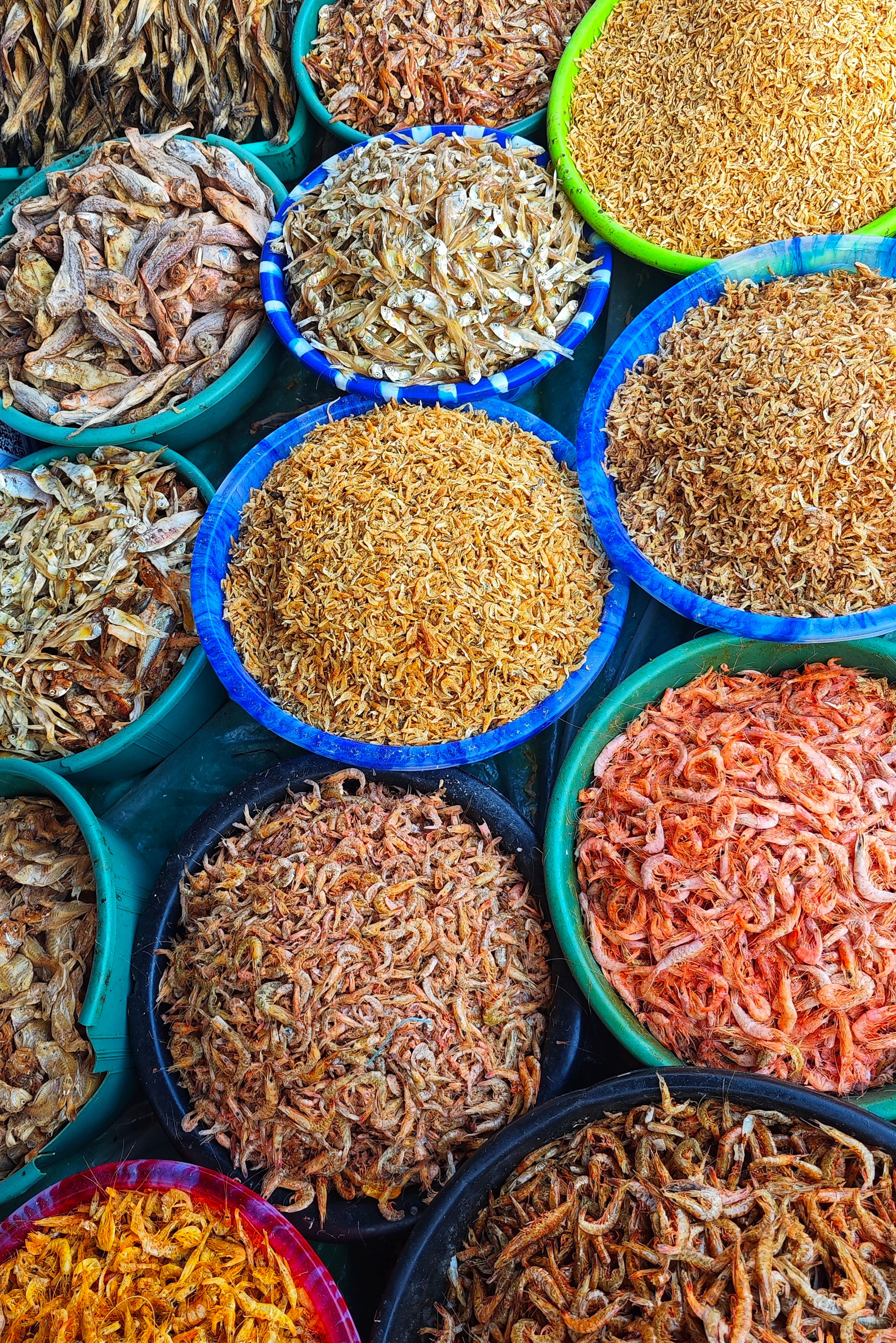 dried shrimp bowl