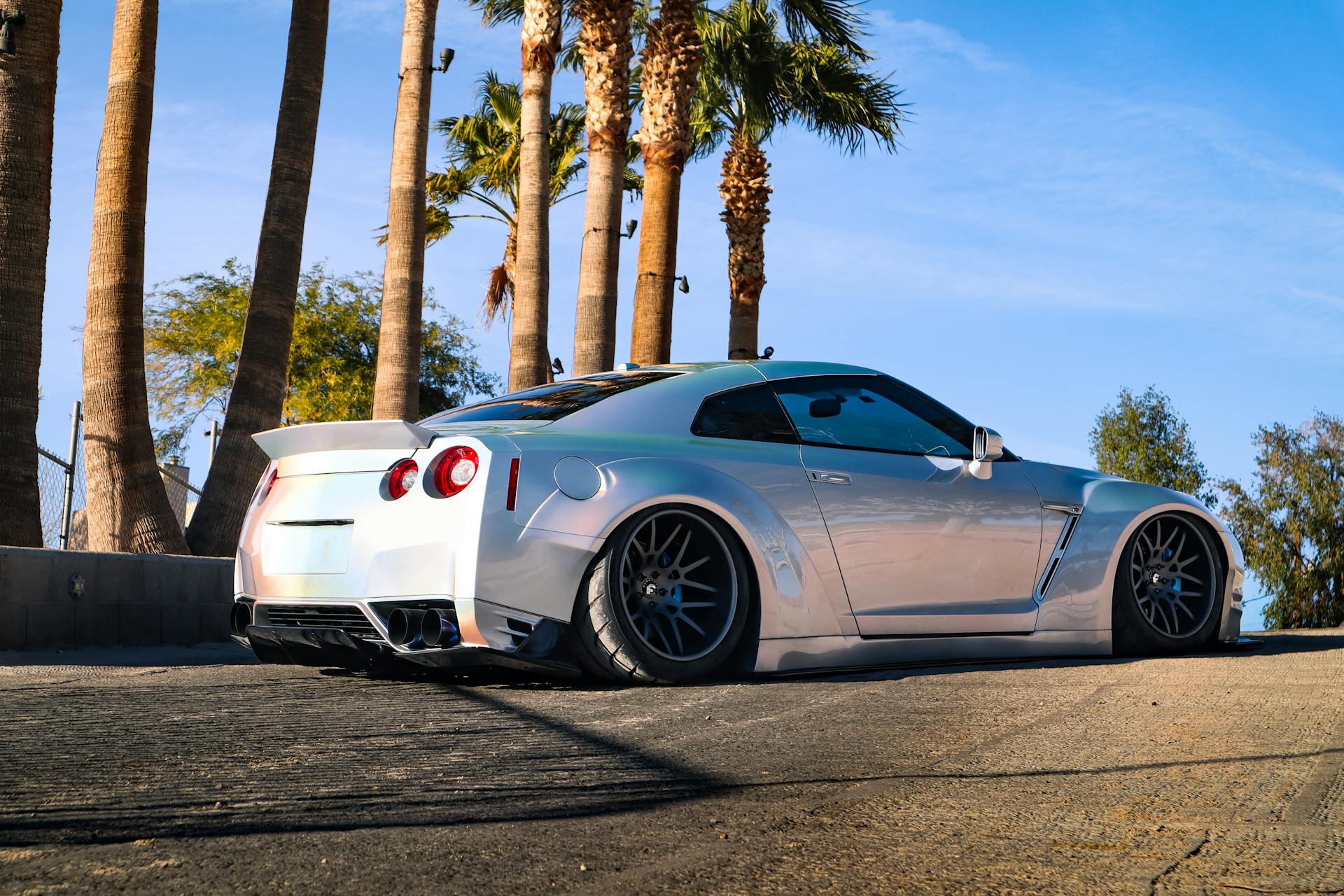 A silver sports car parked beneath tall palm trees on a sunny day, exuding elegance and speed.