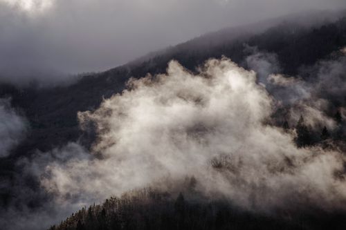 Free Misty mountain view with clouds enveloping the forest in Artvin, Türkiye Stock Photo