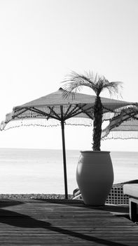 A serene black and white beach scene featuring a palm tree in a pot and a decorative umbrella.