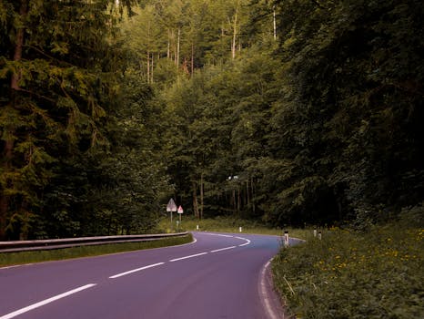 Image by William Gevorg Urban