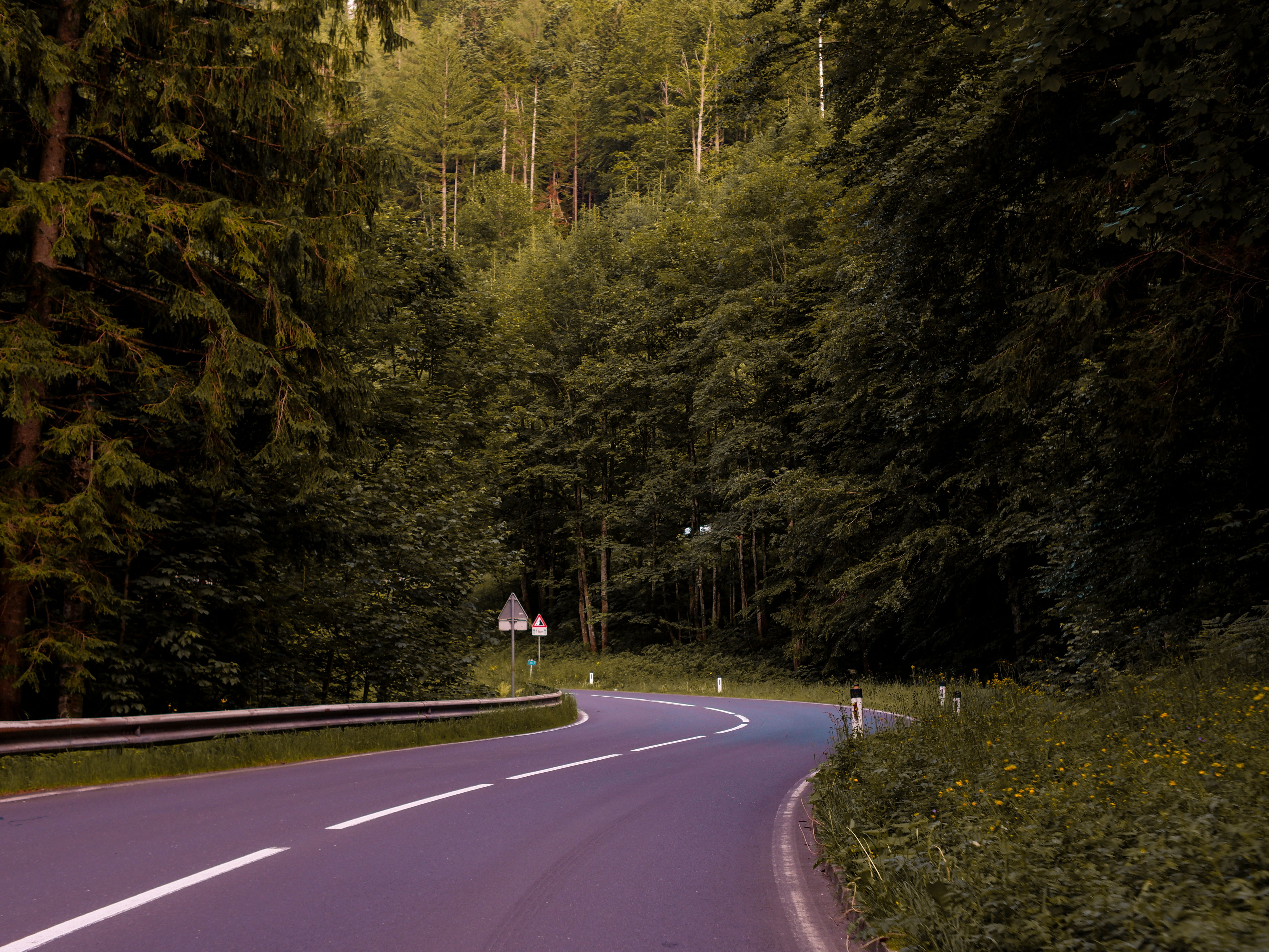Scenic Forest Road in Rakúsko during Summer · Free Stock Photo