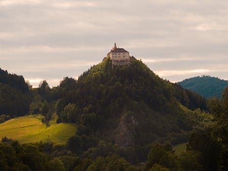 Image by William Gevorg Urban