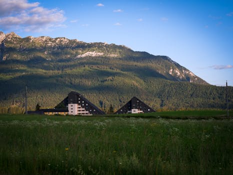 Image by William Gevorg Urban