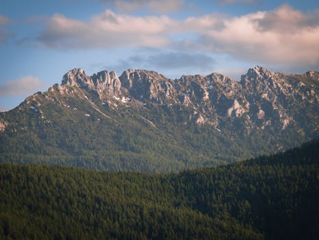 Image by William Gevorg Urban