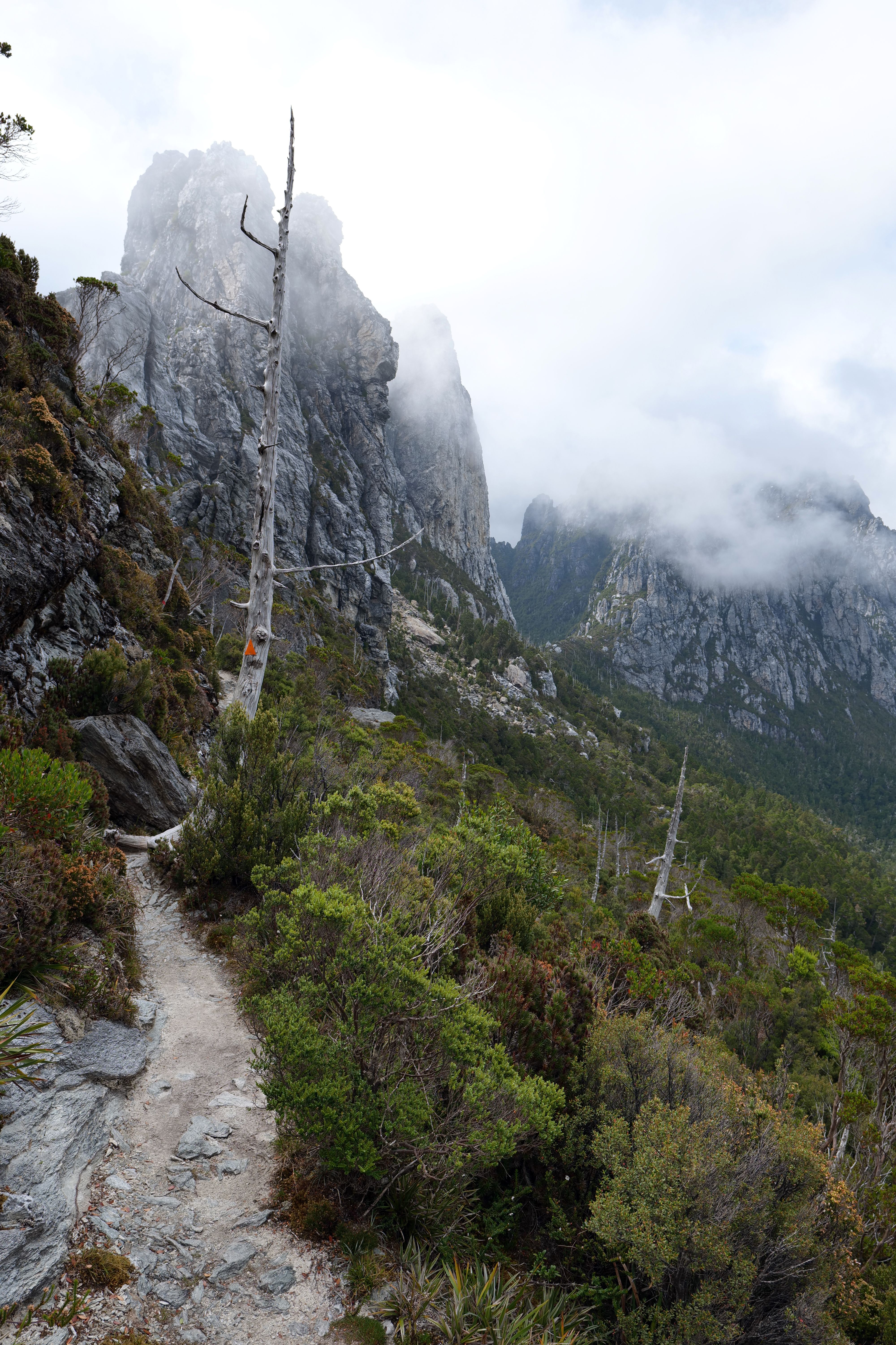 A scenic hiking trail in Tasmania's rugged mountains, enveloped by mist and wilderness.