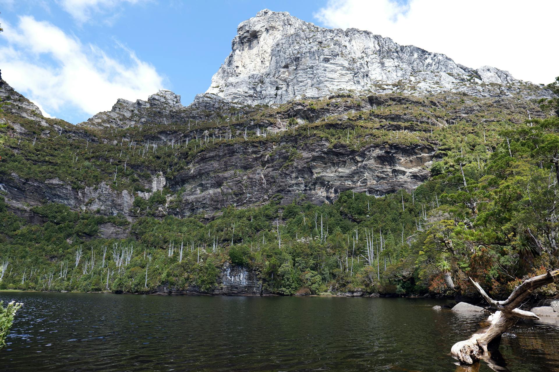 Mark Direen Frenchmans Cap Tasmania Australia