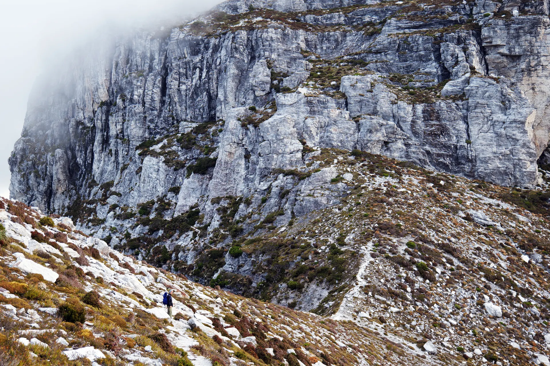 A lone hiker traversing the rocky slopes of Tasmania's rugged landscape, perfect for adventure enthusiasts. A lone hiker traversing the rocky slopes of Tasmania's rugged landscape, perfect for adventure enthusiasts.