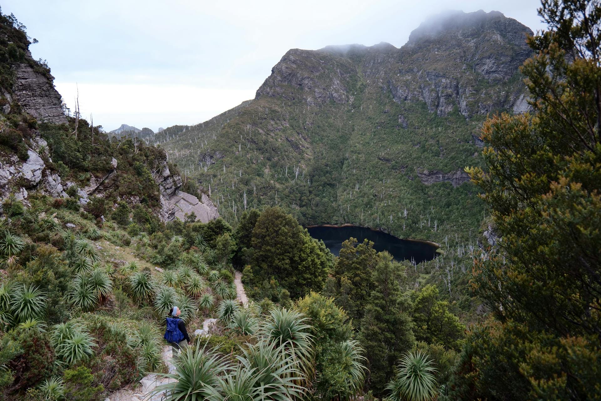 Mark Direen Frenchmans Cap Tasmania Australia