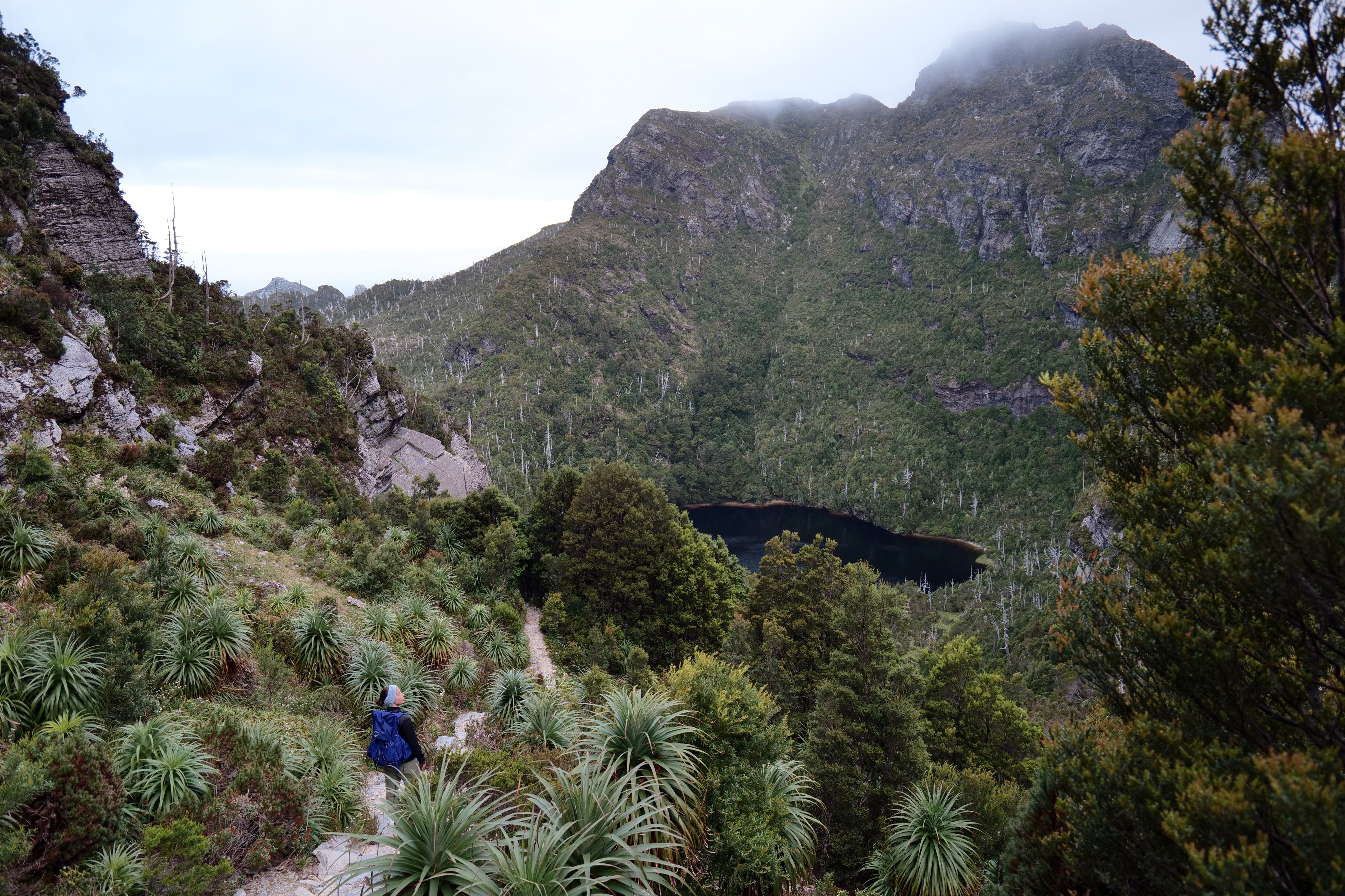 Scenic Hiking Trail in Tasmania's Mountainous Region · Free Stock Photo