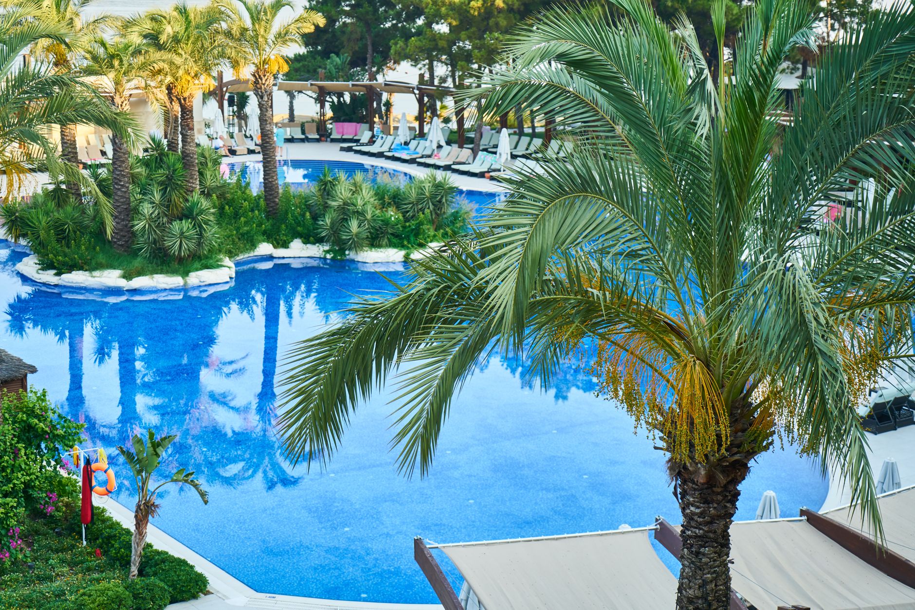 Hotel swimming pool on a garden terrace in Nairobi with loungers and jacaranda trees