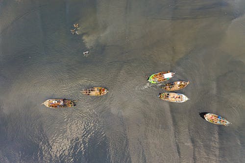 Δωρεάν στοκ φωτογραφιών με αλιεία, αλιευτικό σκάφος, Άνθρωποι
