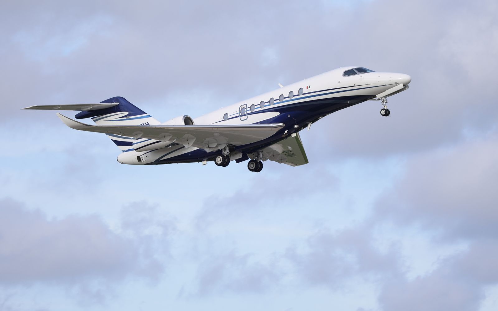 Private aviation transfers — Platinum Chauffeurs