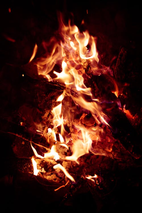 Immagine gratuita di fiamma, fuoco, notte
