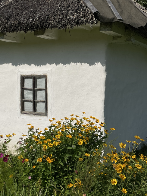 Clearinghouse Sommer