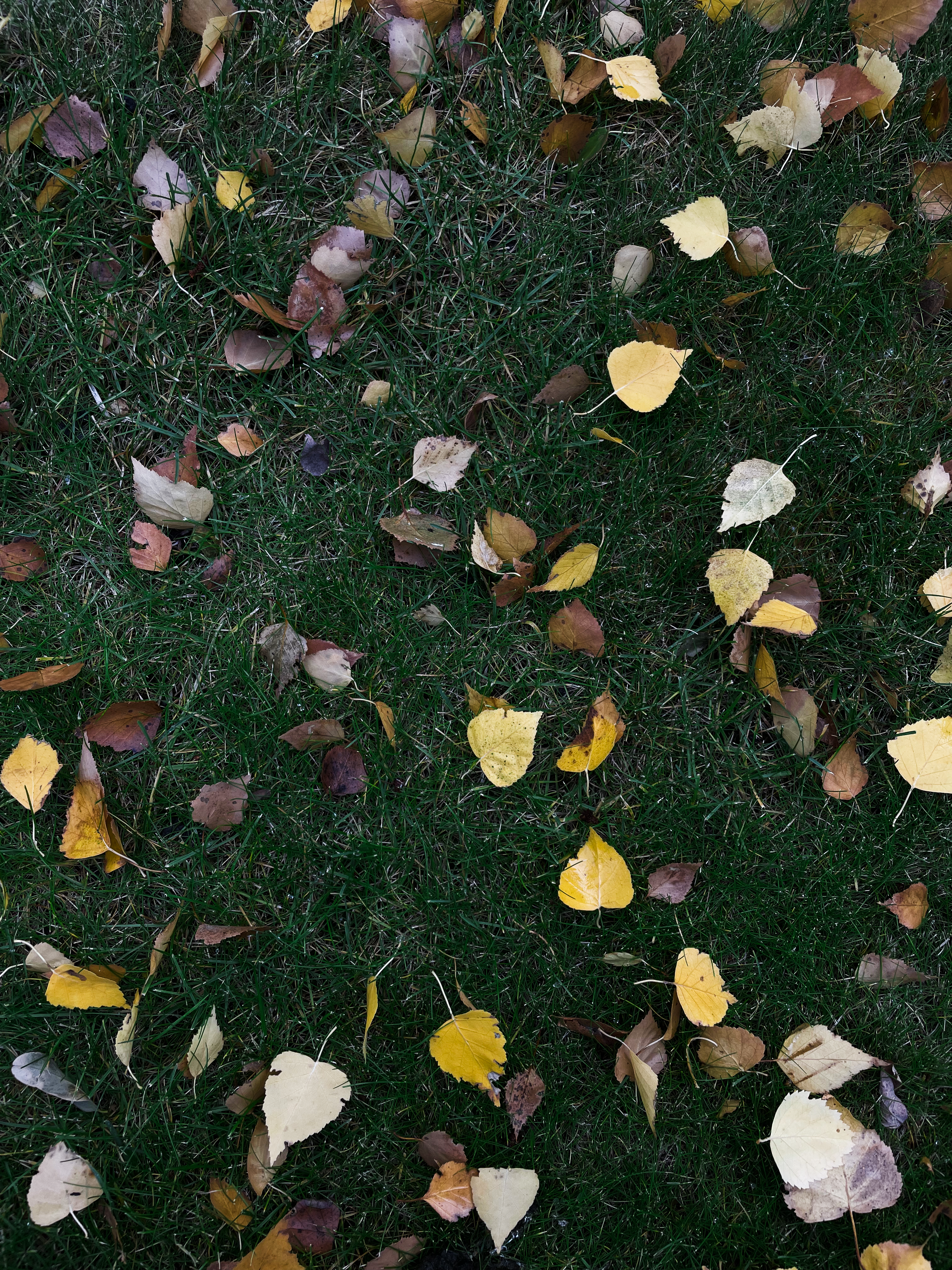 Defualt Photo Photos, Download The BEST Free Defualt Photo Stock Photos ...