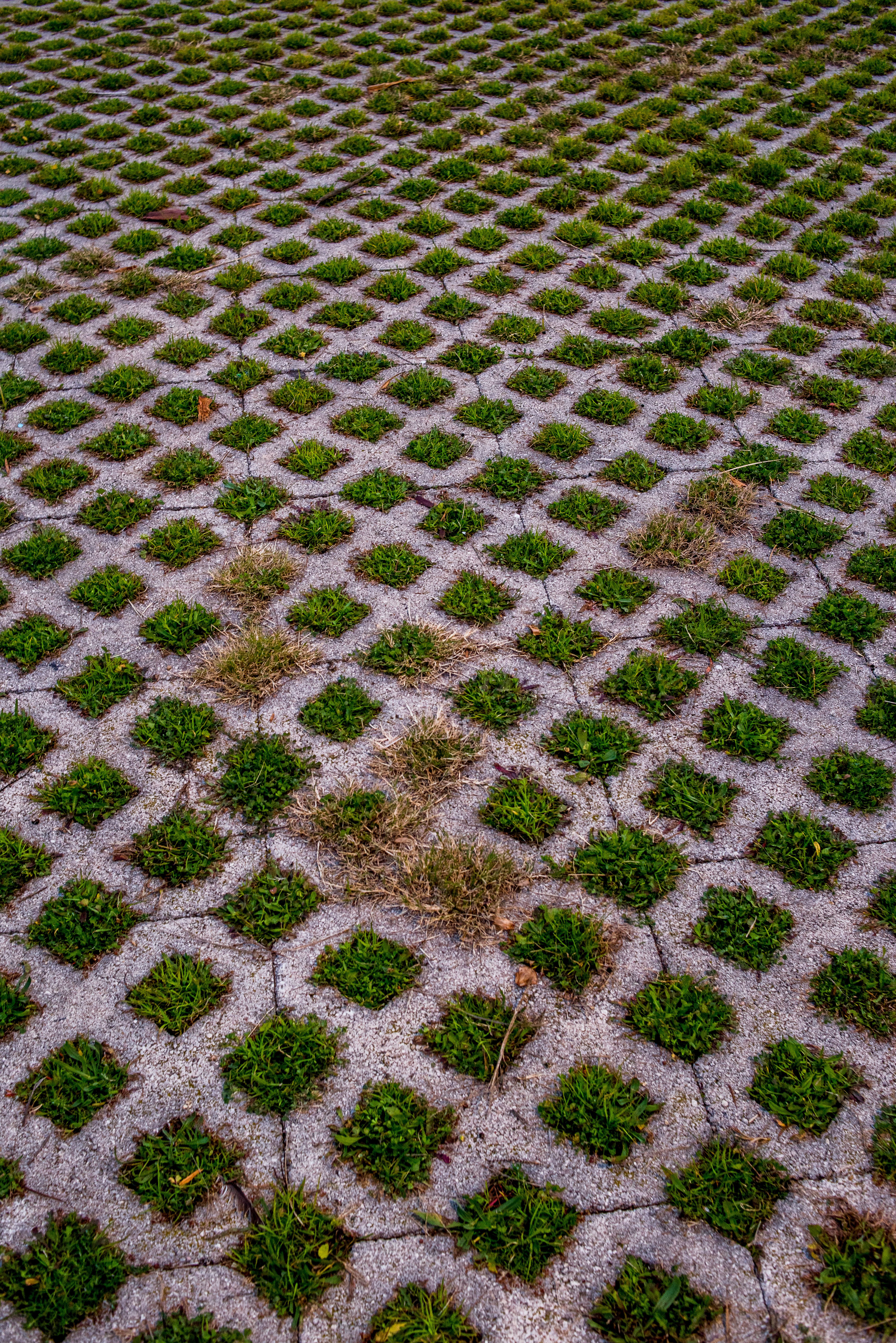 Porous Pavement Photos Download The Best Free Porous Pavement Stock