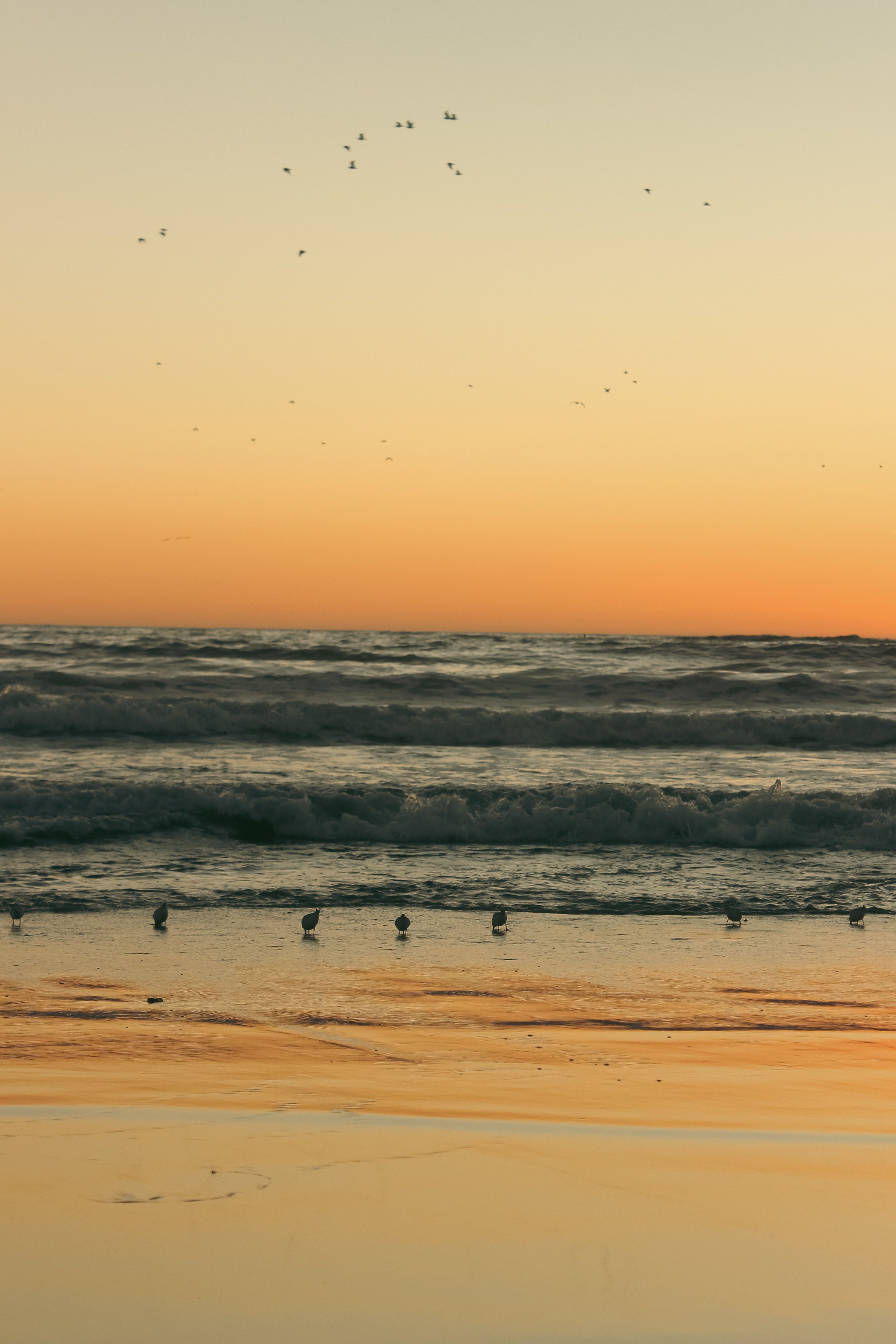 Serene Sunset Beach with Gentle Waves Seascape · Free Stock Photo