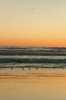 A peaceful beach scene at sunset with gentle waves and seagulls silhouetted.