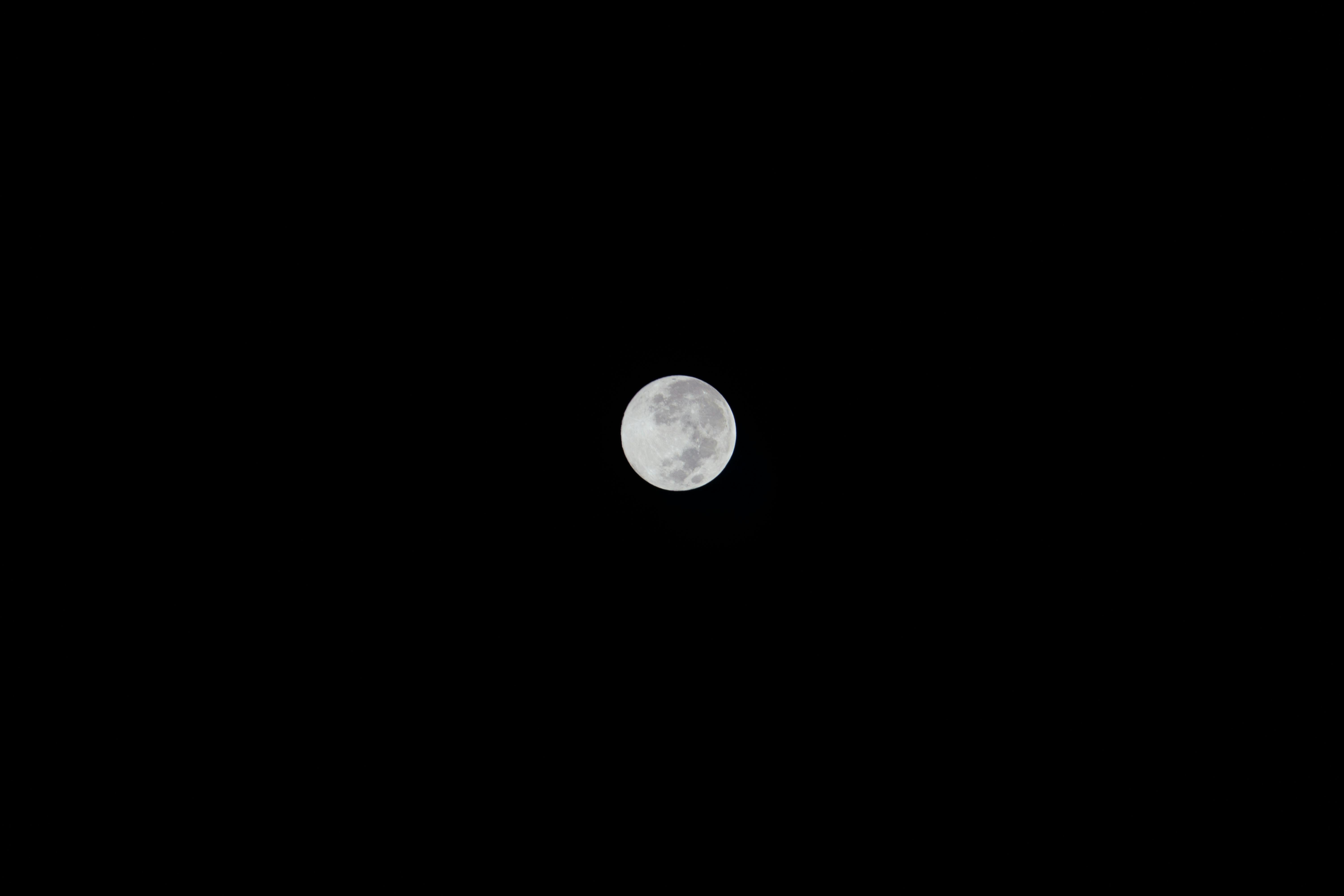 Una chiara visione della luna piena contro un cielo notturno scuro e senza stelle.
