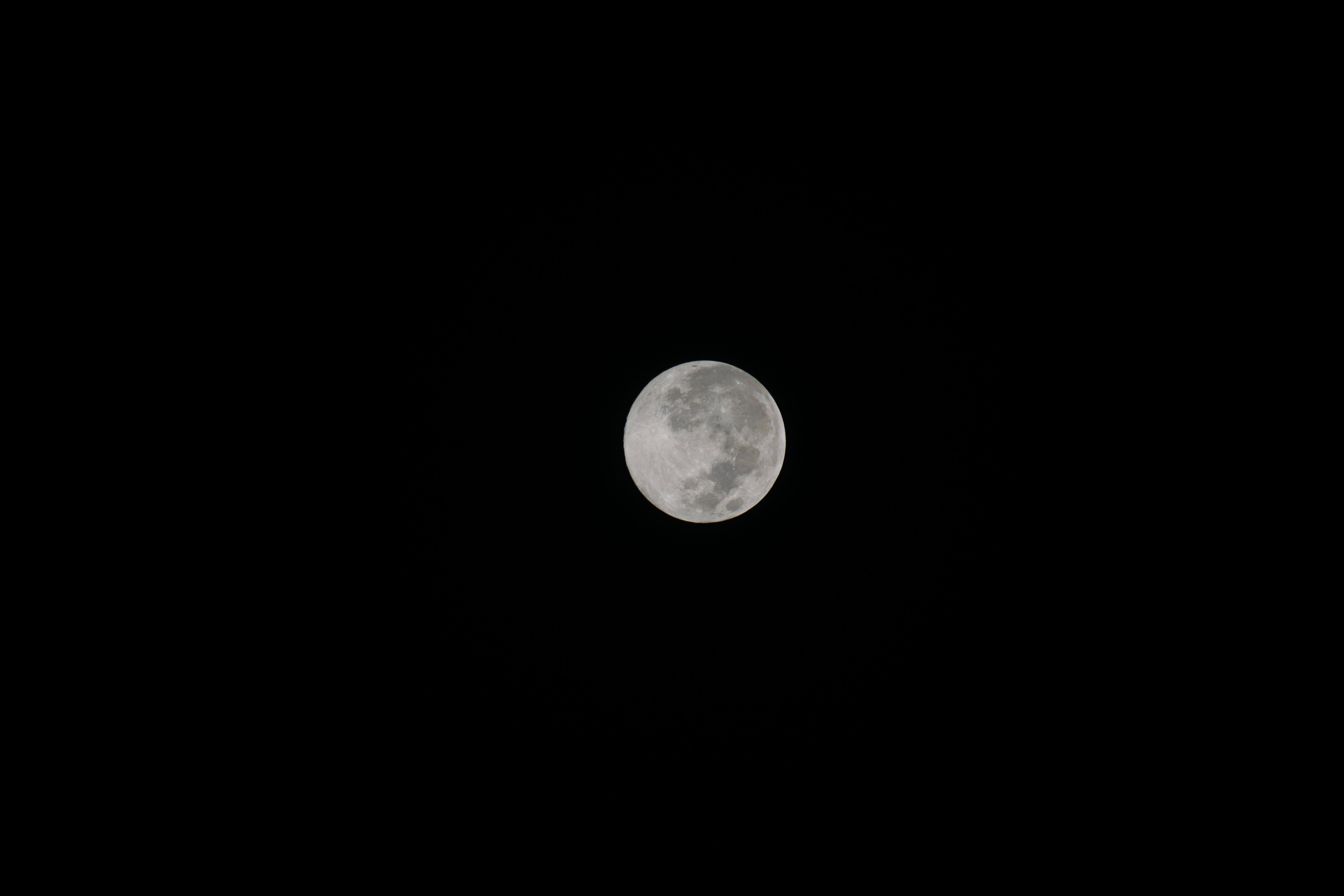 Lua Cheia No Céu Noturno Com Fundo Preto · Foto profissional gratuita