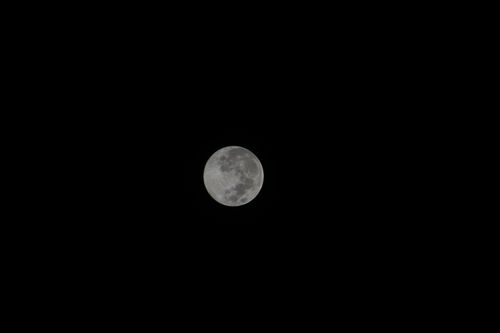 Free Captivating image of a full moon against a deep black night sky, perfect for astronomy enthusiasts. Stock Photo