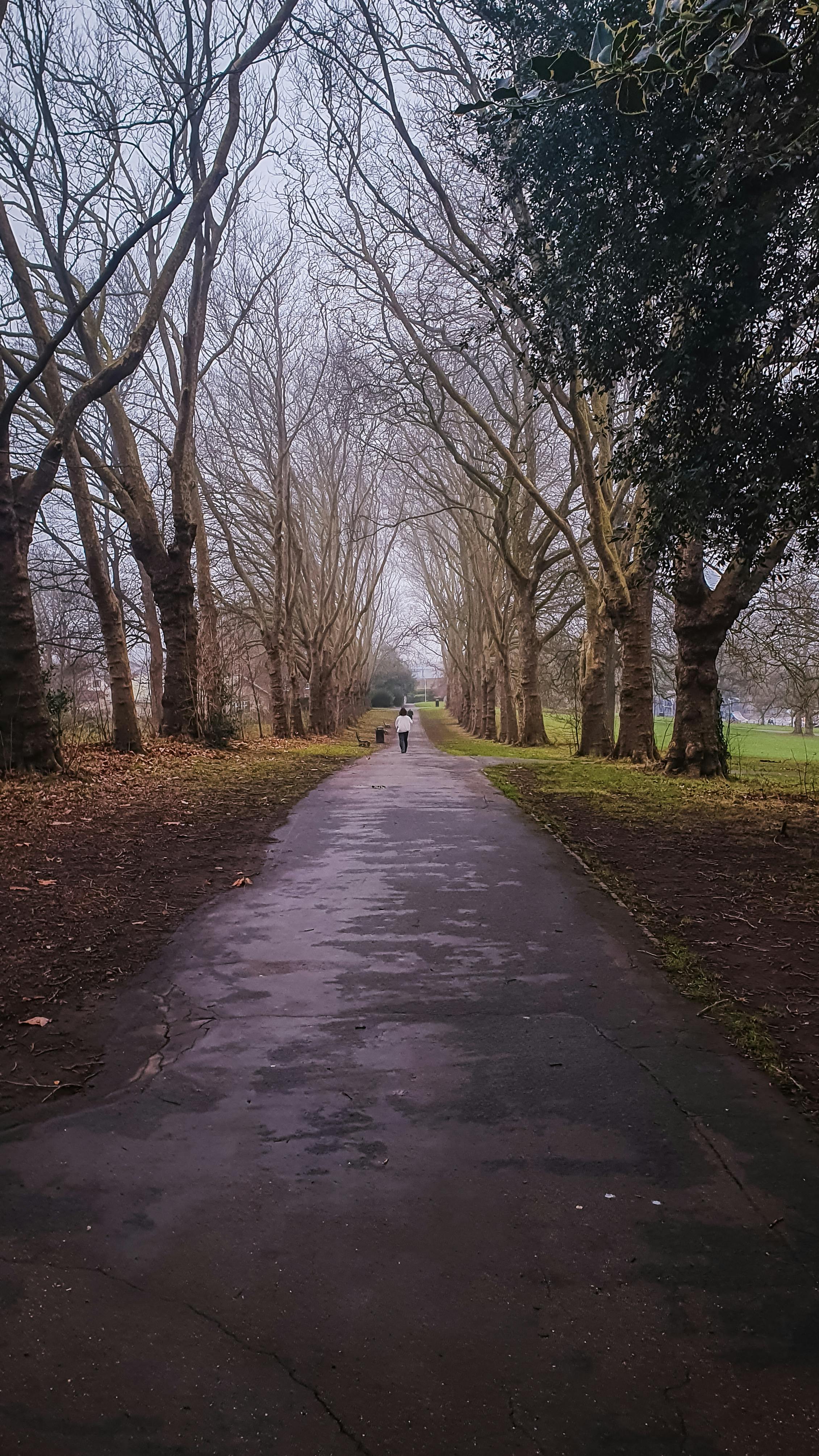 Horfield Bristol: Discover Hidden Gems and Local Secrets Today! 4 Why Horfield Bristol Should Be Your Next Weekend Getaway: 6 Local Attractions You Can’t Miss