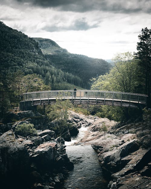 Bridge Above River