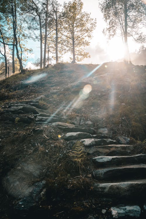 Free stock photo of fossen, mountains, nature