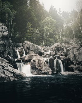 宁静的瀑布流经岩石地形，周围是郁郁葱葱的森林，展现了大自然的美丽与宁静