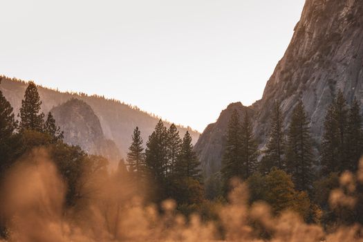 Serene golden hour view of trees and mountains in Yosemite National Park.