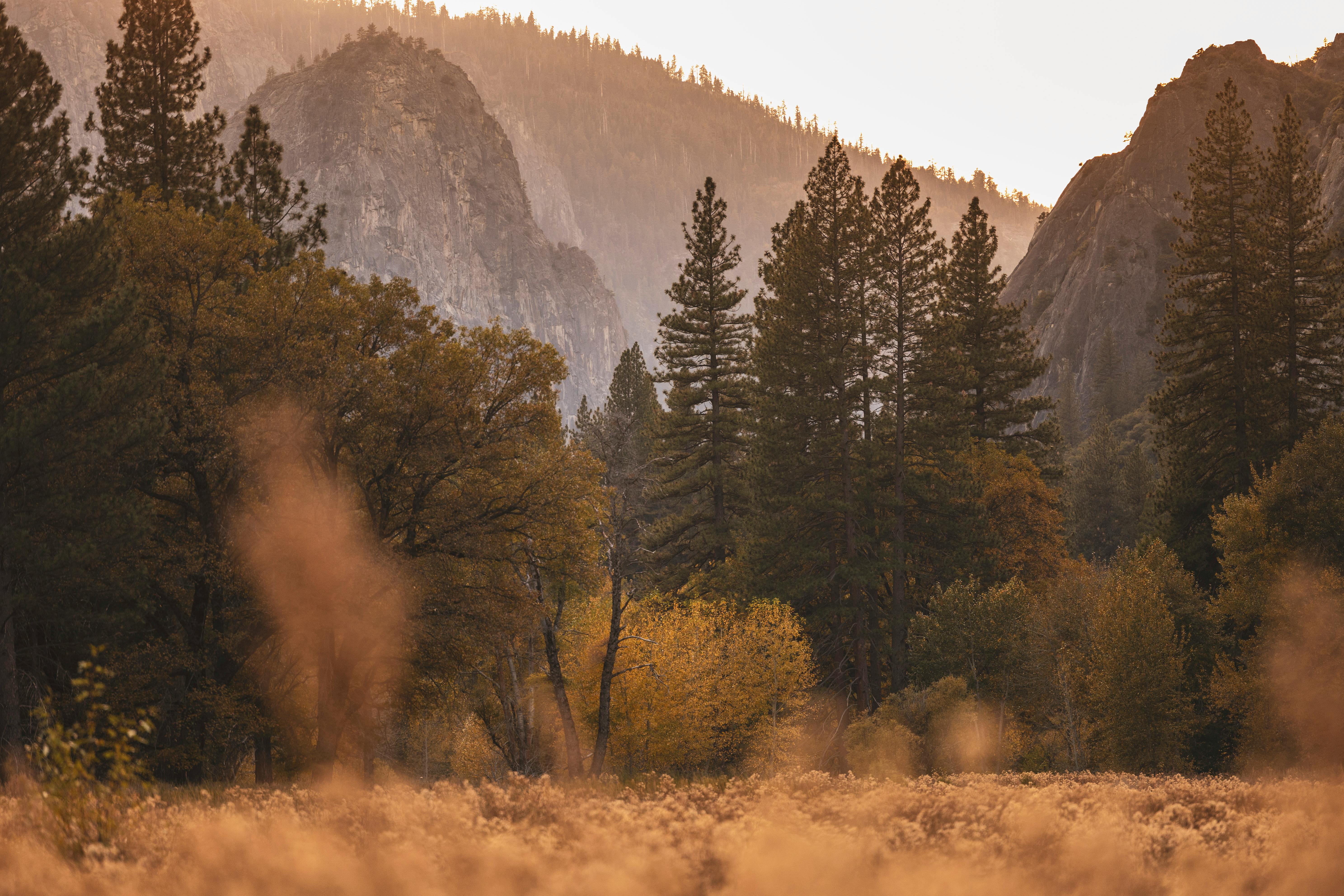 ## How to Travel Sustainably