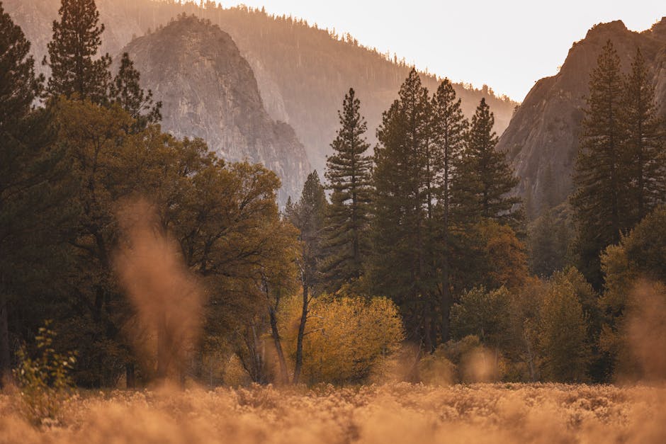 ## How to Travel Sustainably