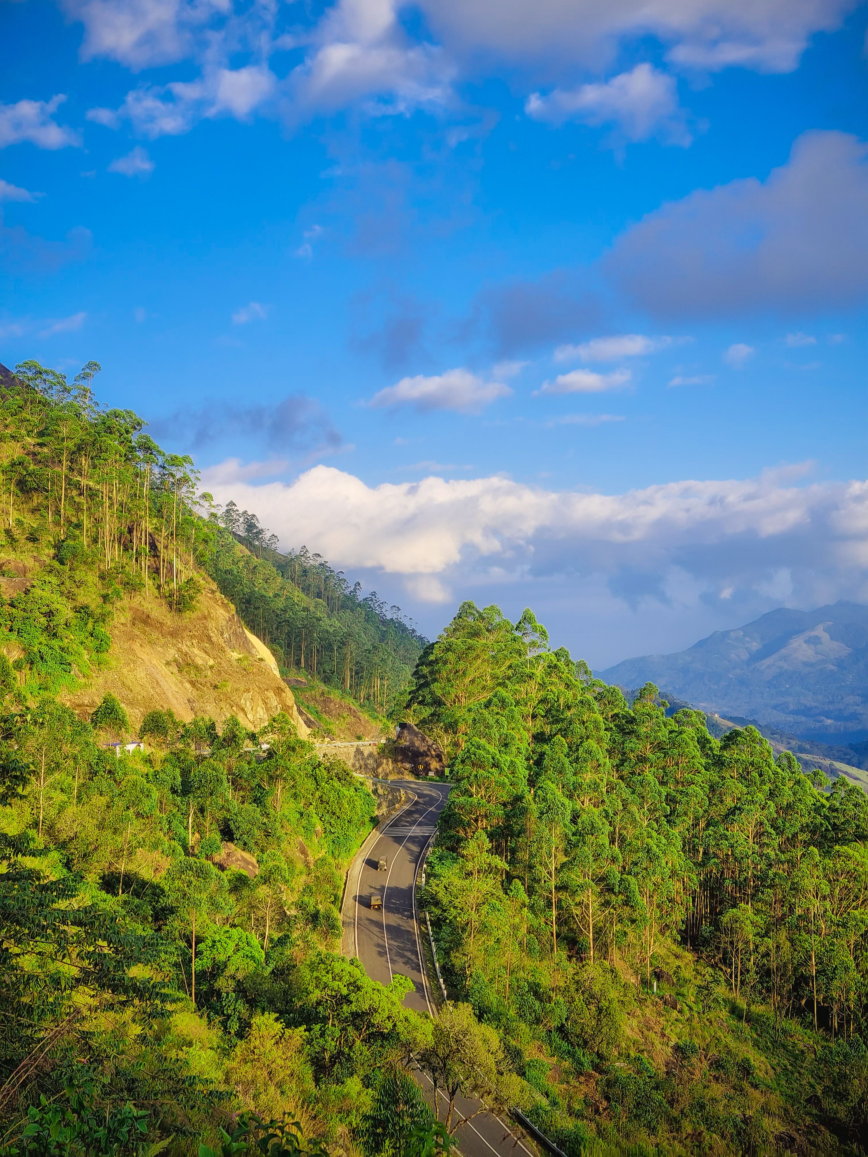 Scenic Mountain Road through Lush Greenery · Free Stock Photo