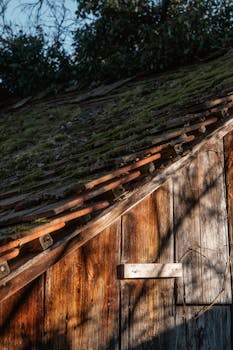 Close-up of rustic wooden cottage roof with moss-covered tiles, capturing natural textures and shades.