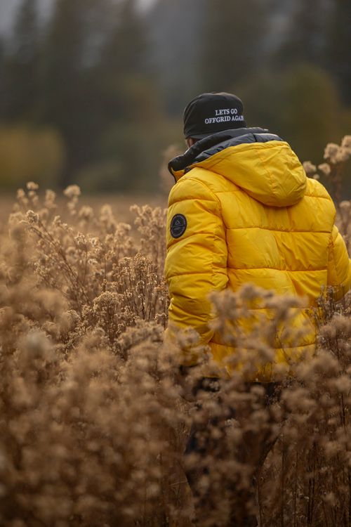 Person in Yellow Jacket Walking Through Autumn Field · Free Stock Photo